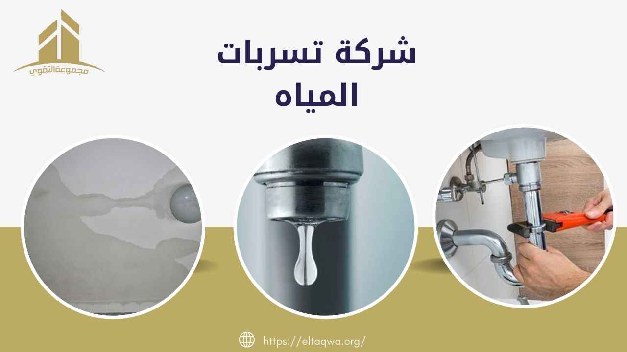 شركة تسربات المياه